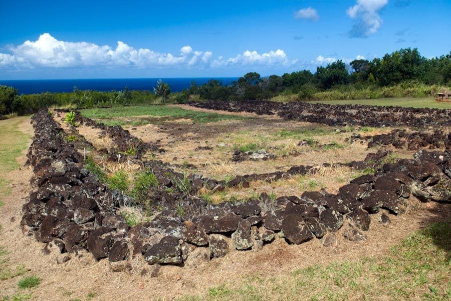 A field with rocks and grass on the side of it