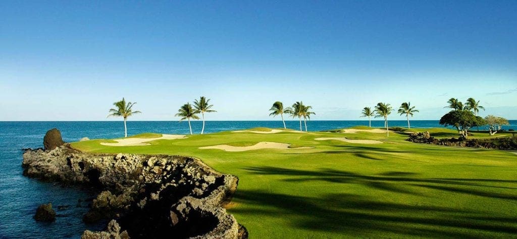 A golf course with palm trees and the ocean in the background.