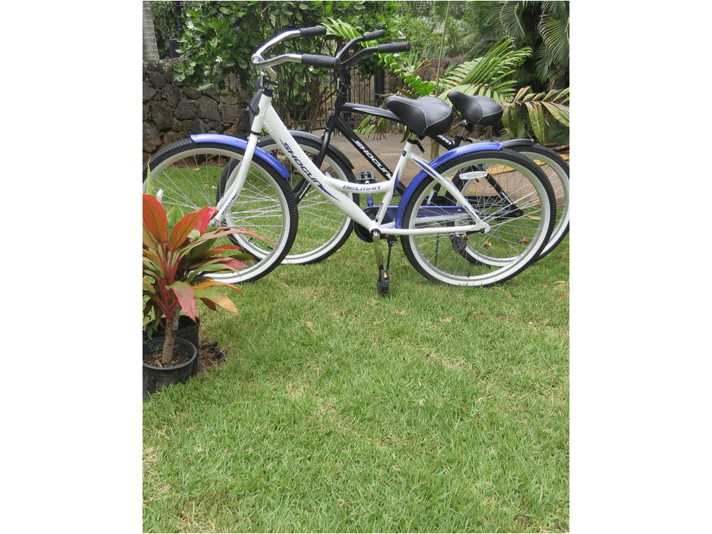 A bicycle parked in the grass near some plants.
