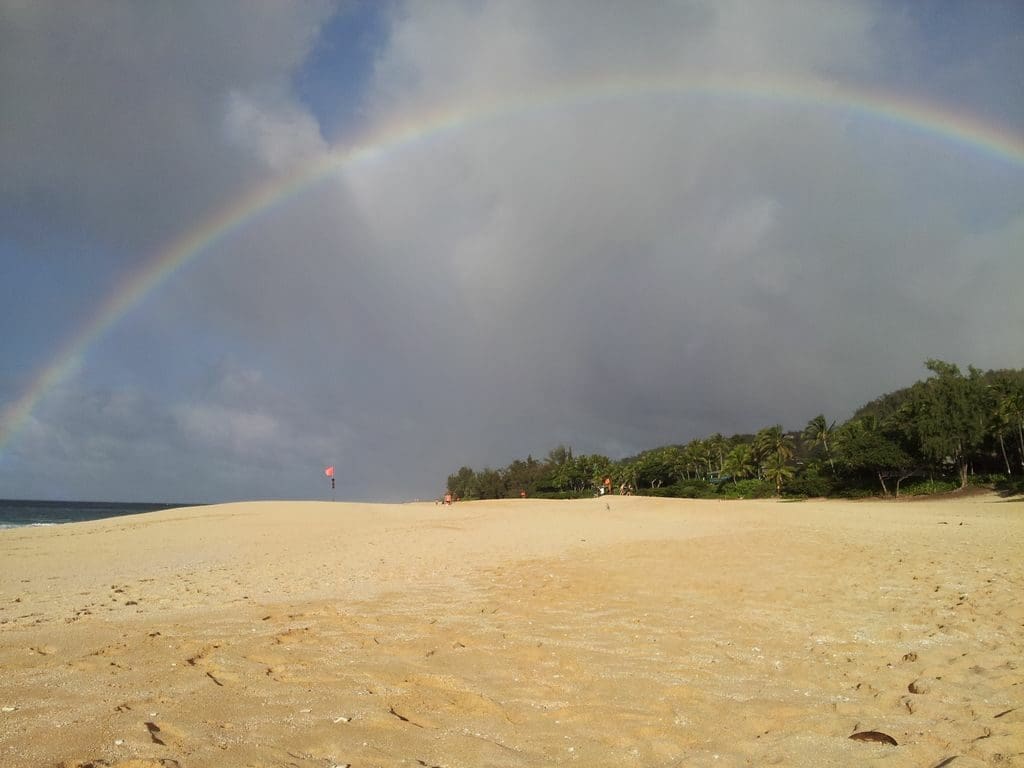 A rainbow over the beach and trees