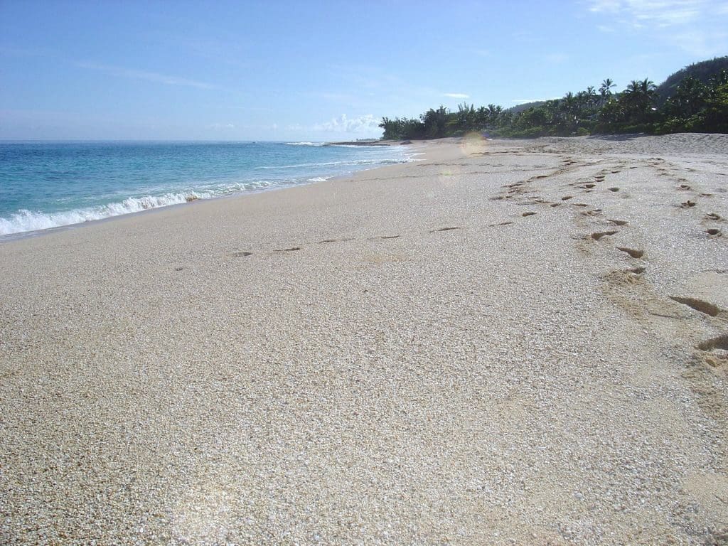 A sandy beach with trees in the background.